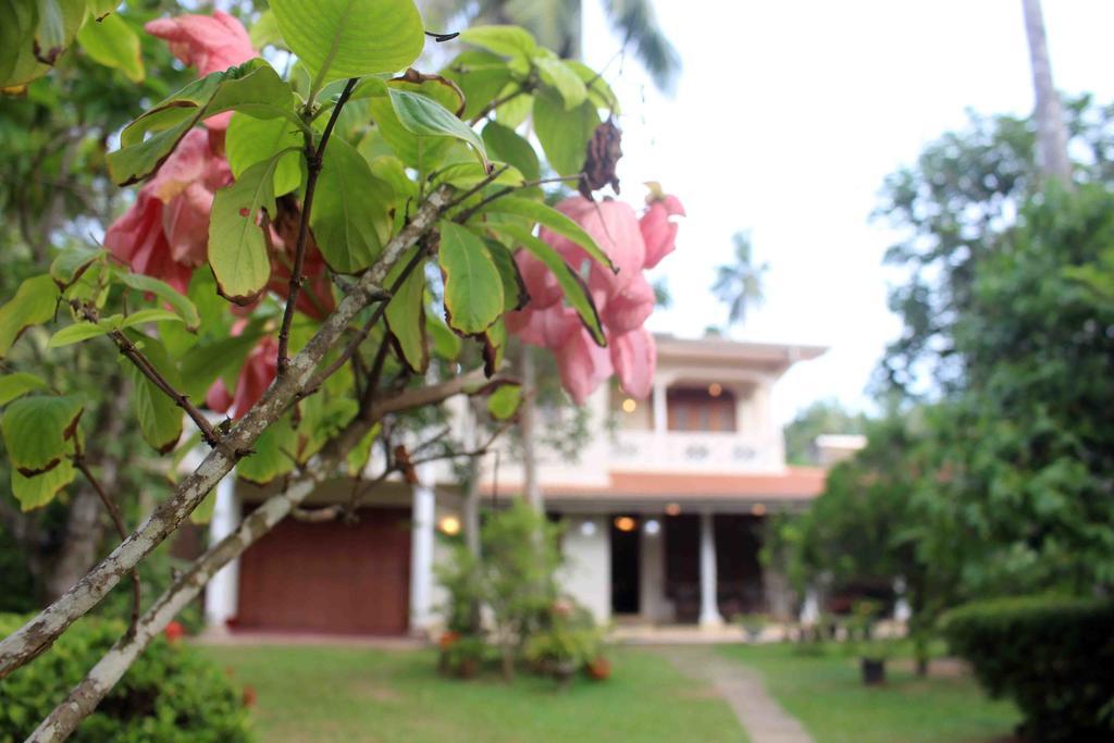 Anura Home Stay Kalutara Exterior photo